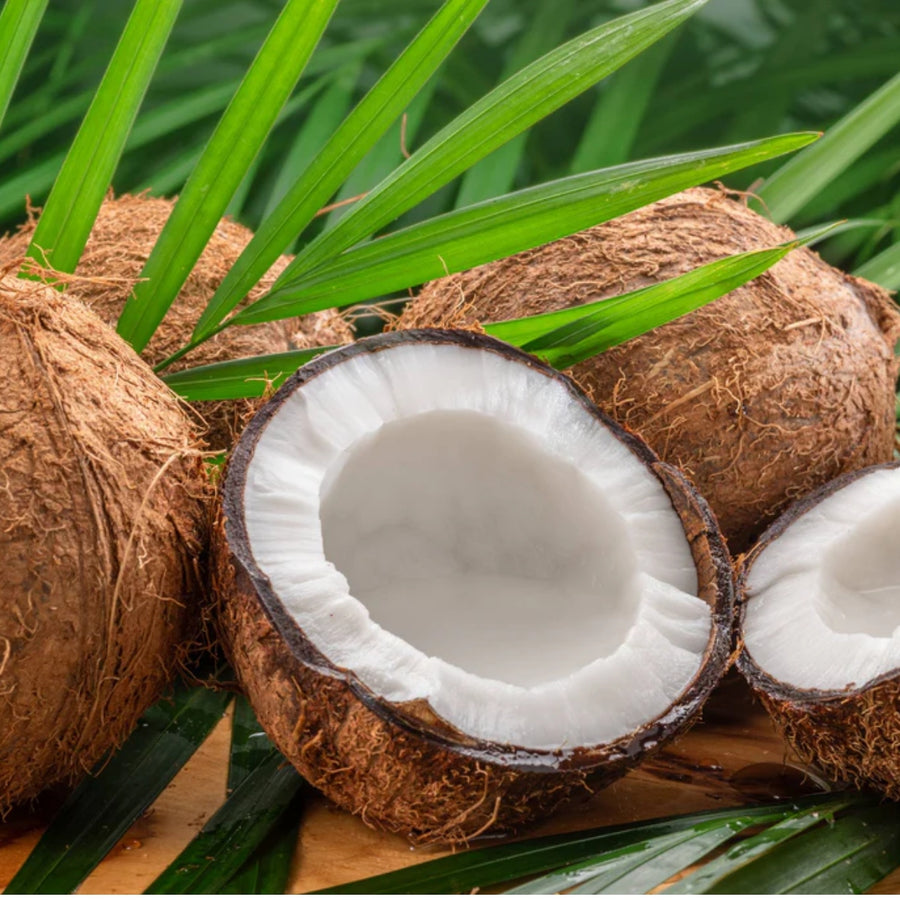 Coconut Oil